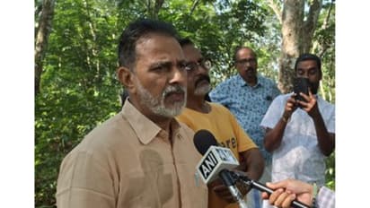 Rubber farmers in Thiruvalla tap trees amid falling prices and rising costs (Photo/ANI)