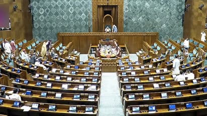 Visual of Lok Sabha (Photo/Sansad TV)