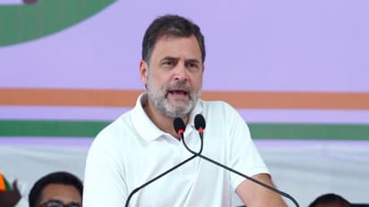 Congress leader Rahul Gandhi (Photo/ANI)