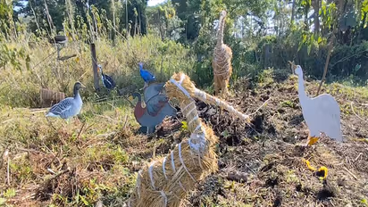 Charaichung Festival (Photo/ANI)