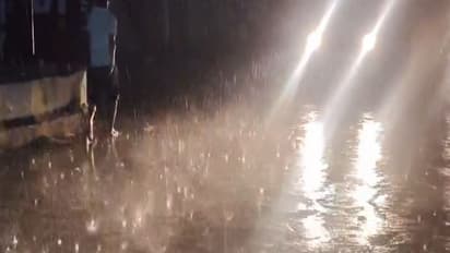 Late night rain in Kotputli, Rajasthan (Photo/ANI)