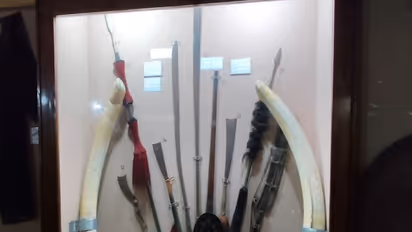 Historic Hengdang sword of Assamese national hero draws visitors to Auniati Satra  (Photo/ANI)