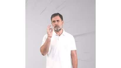 Congress MP Rahul Gandhi (Photo: x/@RahulGandhi)
