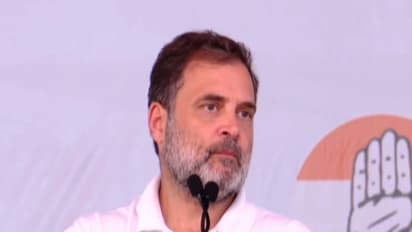 Congress leader Rahul Gandhi (Photo/ANI)