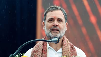 Lok Sabha Leader of the Opposition Rahul Gandhi and Congress MP Priyanka Gandhi Vadra (Photo/ANI)