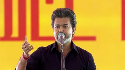 Tamil Nadu CM C Joseph Vijay (Photo/ANI)