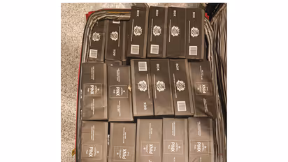 Visual of seized cigarrete consignment (Photo: CISF/X)