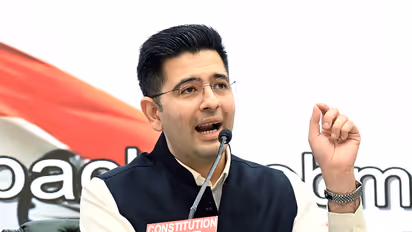 BJP Rajya Sabha MP Raghav Chadha (File photo/ANI)