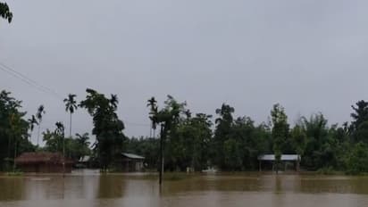Flooding in Assam (Photo/ANI)