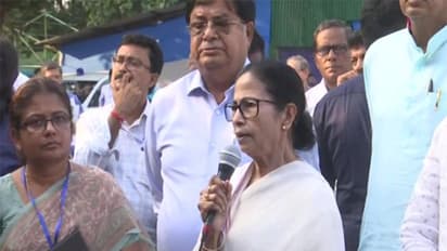 West Bengal Chief Minister Mamata Banerjee. (File Photo/ANI)