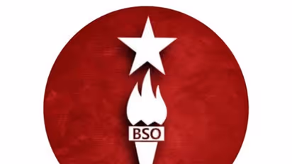 Representative Image (Photo/X@BSO__AZAD)