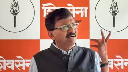 Shiv Sena (UBT) MP Sanjay Raut (File photo/ANI)