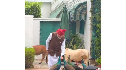PM Modi feeds his animal friends before leaving for the Red Fort on Independence Day. (Photo: @narendramodi/ instagram)