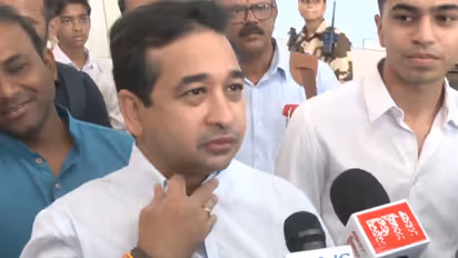 Maharashtra Minister Nitesh Rane (Photo/ANI)