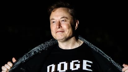 Tesla CEO Elon Musk Plans Another Year With Trump: Retail Braces For More Pain As Stock Hits 5-Month Low