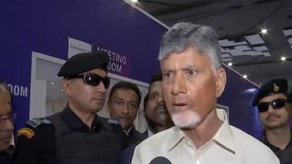 Andhra Pradesh CM Chandrababu Naidu (Photo/ANI)