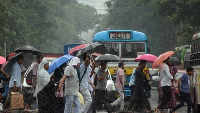 Representative Image (File Photo/ANI)