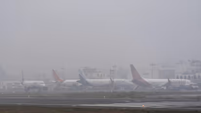 Representative Image (Photo/ANI)