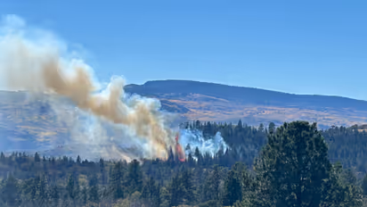 Forest fire in Fishlake National Forest, Utah (Representative File Photo/X@FishlakeNF)