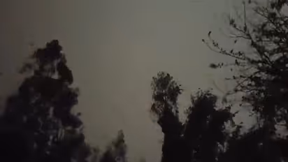 Strong winds and heavy rainfall occures in parts of Sikkim. (Photo/ANI)