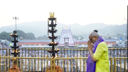 Vice-President C P Radhakrishnan (Photo/X/ @VPIndia)
