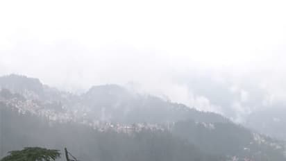 Representative Image (Photo/ANI)