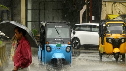Representative image (Photo/ANI)