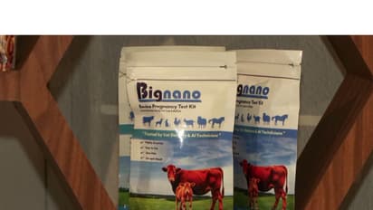 Early pregnancy detection kit for animals (Photo/ANI)