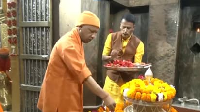 UP CM Yogi Adityanath offers prayer at Maa Pateshwari temple in Balrampur. (Photo/ANI)