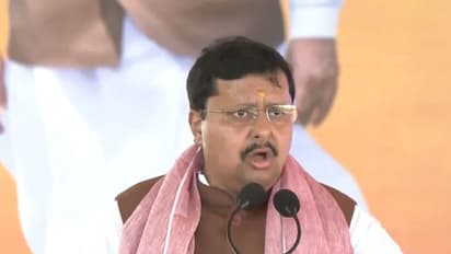BJP national president Nitin Nabin (File Photo/ANI)