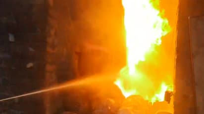 Representative Image (Photo/ANI)