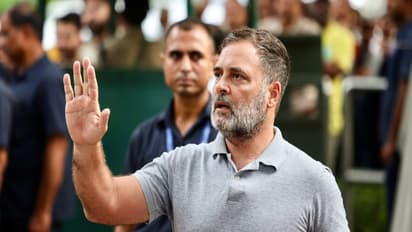 Senior Congress leader Rahul Gandhi (File Photo/ANI)