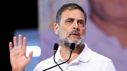 Lok Sabha LoP Rahul Gandhi (File Photo/ANI)