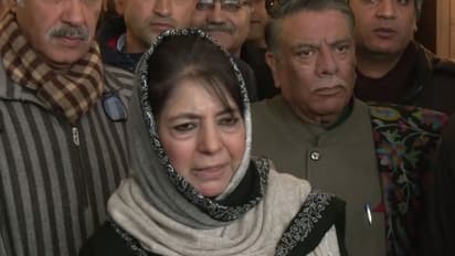 PDP Chief Mehbooba Mufti (Photo/ANI)