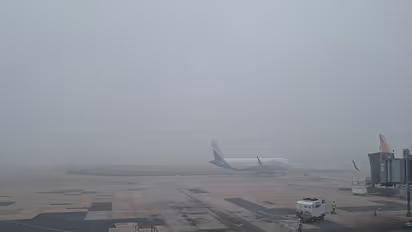 Representative image (Photo/ANI)