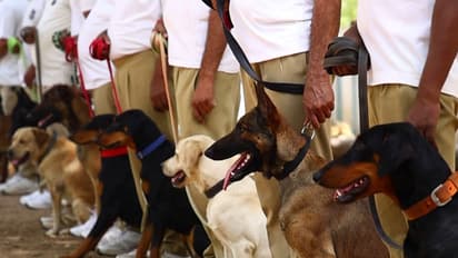 Gujarat Police strengthens its operational capabilities with new generation of highly trained K9 units (Photo/ANI)