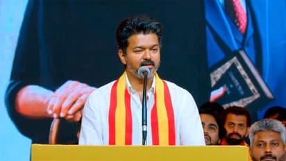 TVK President Vijay (Photo/TVK Social Media)