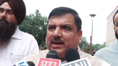 Aam Aadmi Party (AAP) Rajya Sabha MP Sanjay Singh (Photo/ANI)