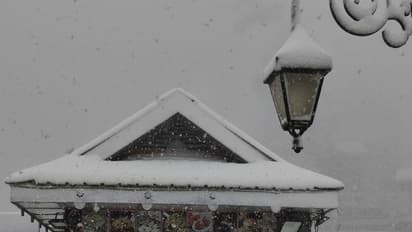 Fresh snowfall arrives in Shimla (Photo/ANI)