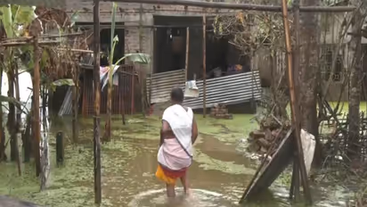 Families in Assam living in makeshift tents (Photo/ANI)