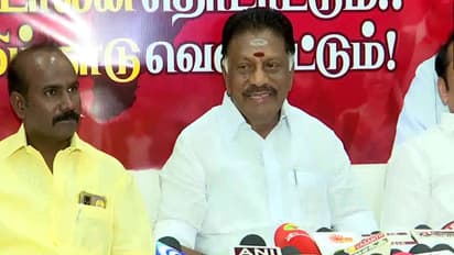 DMK leader O Panneerselvam (Photo/ANI)