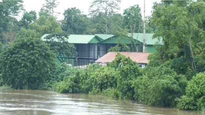 Flood affects parts of Golaghat district in Assam (Photo\ANI)