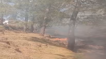 Visuals of the spot (Photo/ANI)