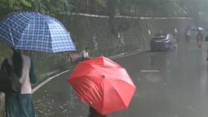 Heavy rainfall lashes parts of Himachal (Photo/ANI)