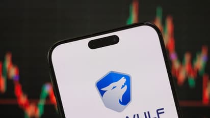 https://stocktwits.com/news-articles/markets/equity/wulf-stock-jumps-7-percent-terawulf-3-5b-ai-data-centre-plan-retail-investors/cZmY5g0R7nn