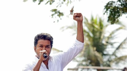TVK chief Vijay (Photo/@TVKPartyHQ/X)