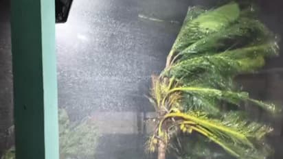 Visuals from Konaseema district show the impact of strong winds (Photo/I&PR)
