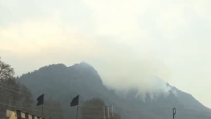 Visuals from the Zarbawan forest in Jammu and Kashmir (Photo/ANI)