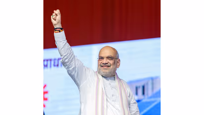 Union Home Minister Amit Shah (File Photo/ANI)