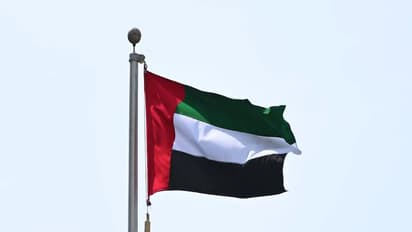 Representative Image (File Photo/X@UAEembassyIndia)